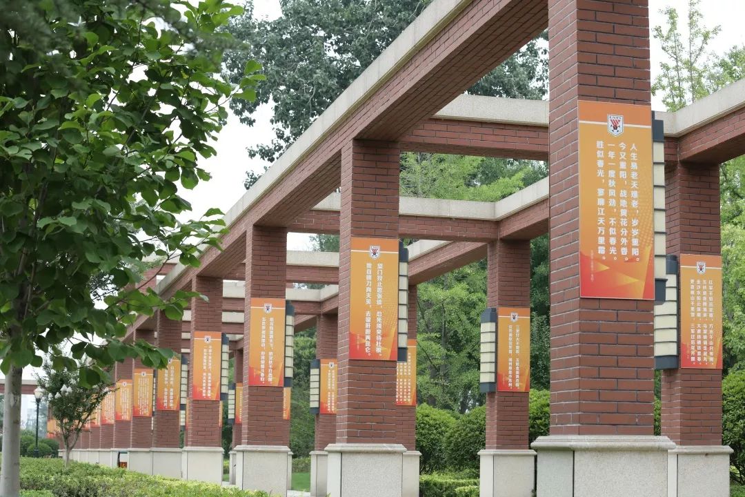 篮球特色学校：能否改变青训体系？